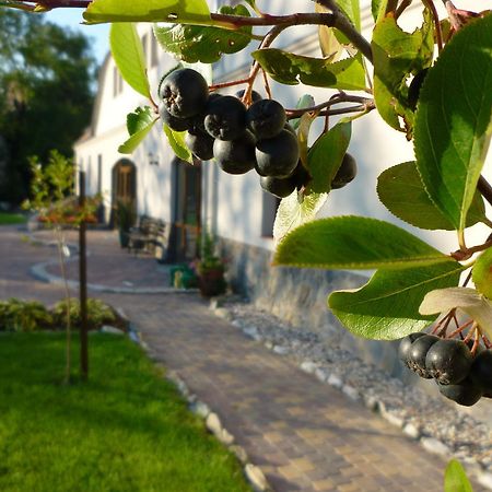 Aronia Park Villa Lubiechowa Kültér fotó