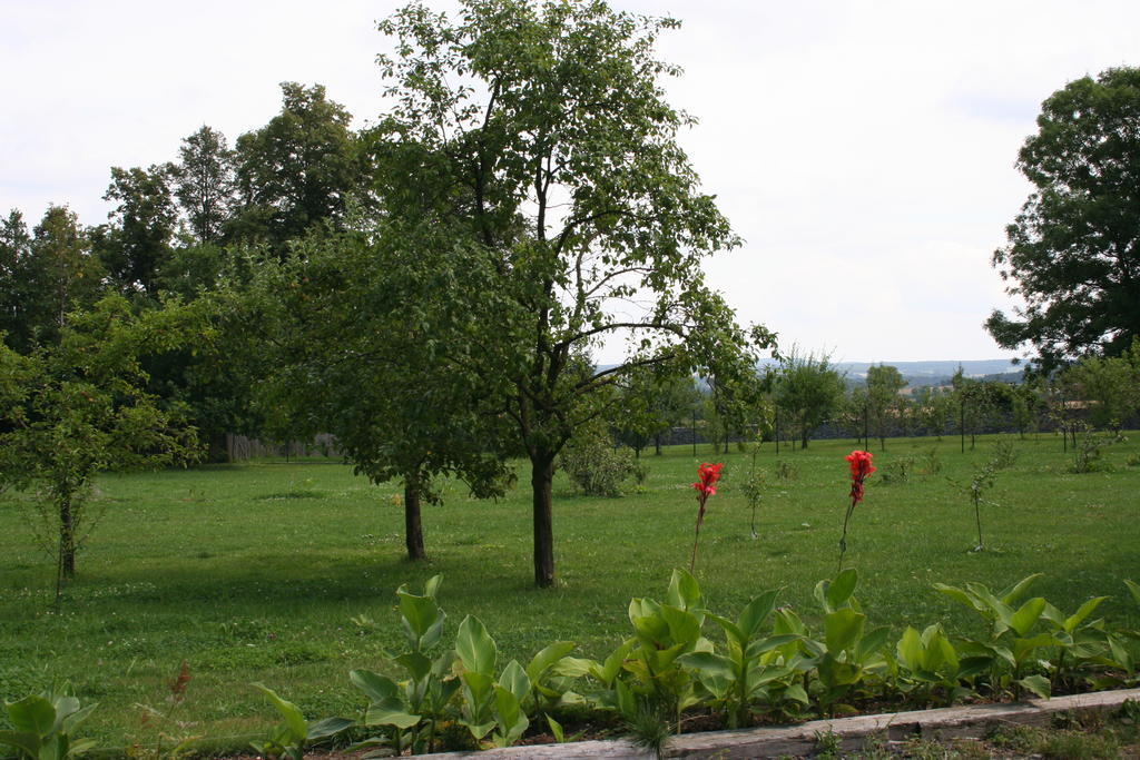 Aronia Park Villa Lubiechowa Kültér fotó