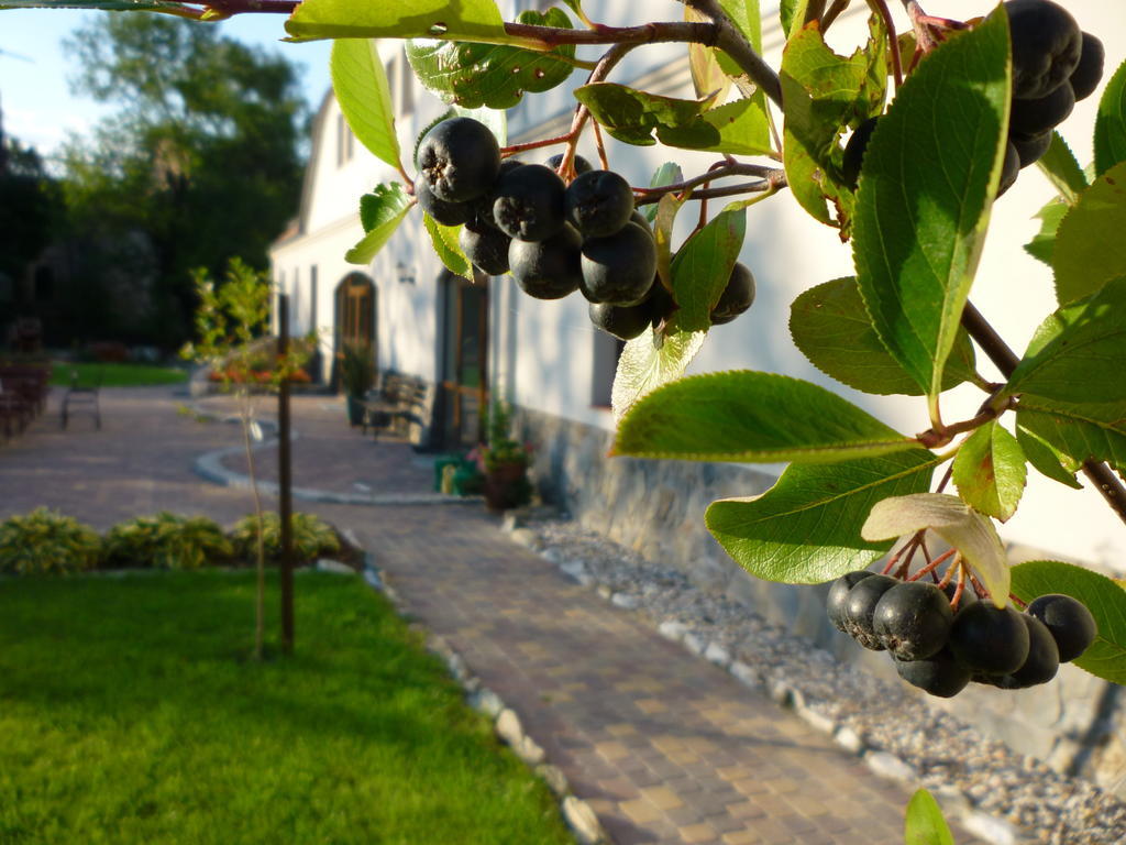 Aronia Park Villa Lubiechowa Kültér fotó